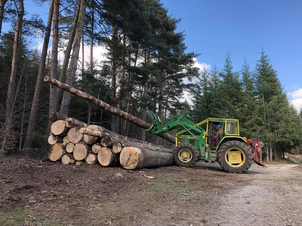 bois-piles